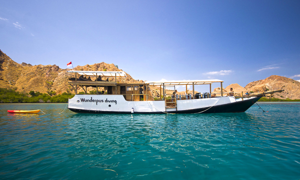 Enjoy an affordable Komodo dive cruise aboard Mimic