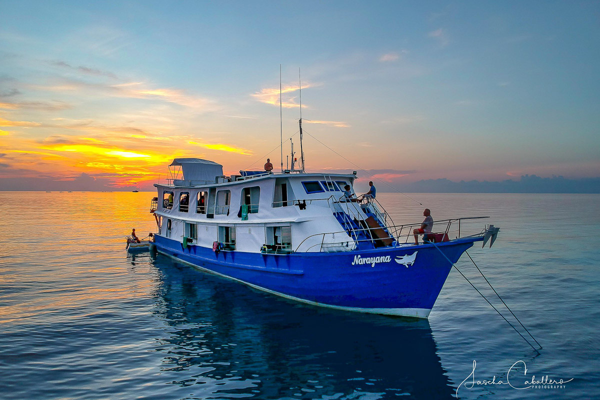 Narayana Liveaboard 2