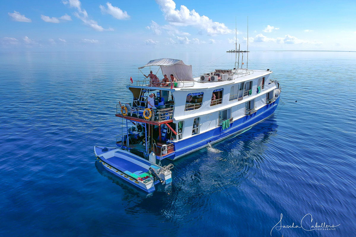 Narayana Liveaboard