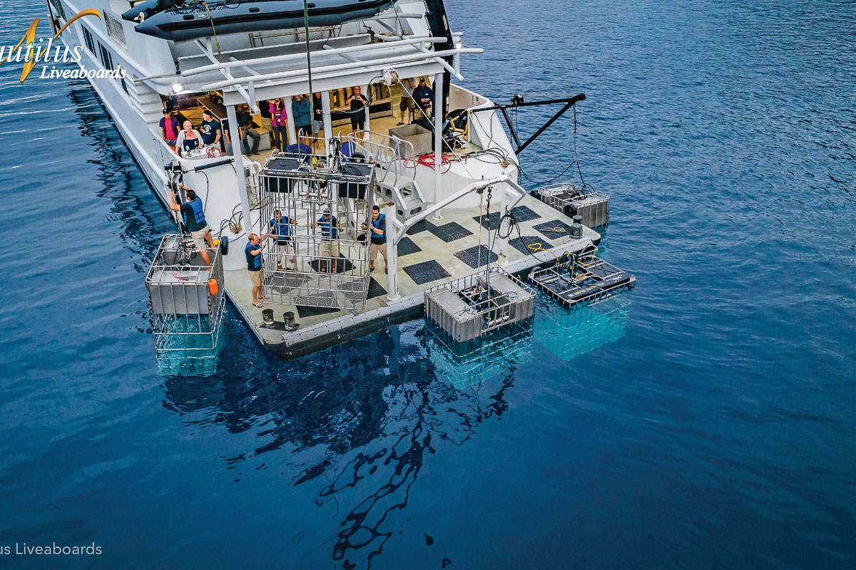 Nautilus Belle Amie Liveaboard Mexico 11