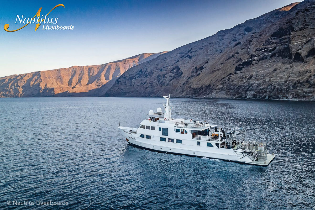 Nautilus Explorer Liveaboard Mexico 5