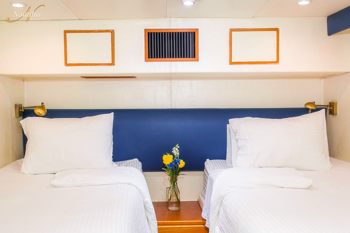 Nautilus Gallant Lady Liveaboard Mexico 12