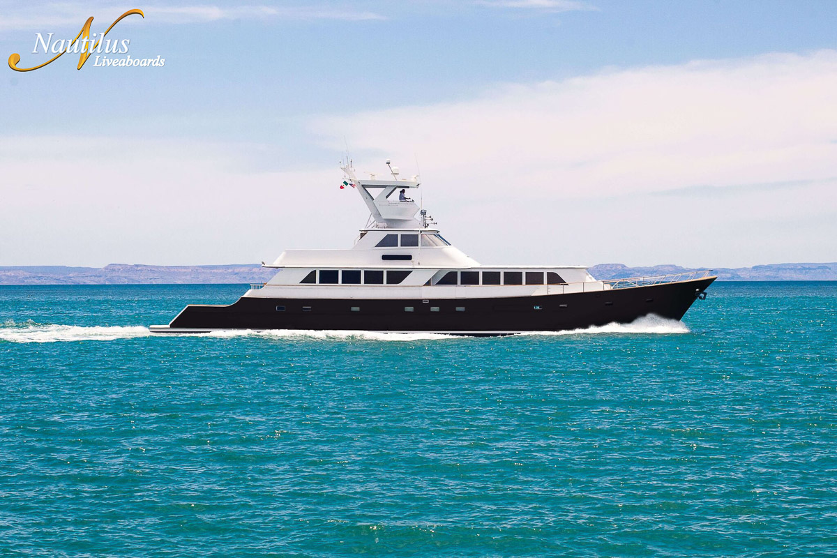 Nautilus Gallant Lady Liveaboard Mexico 6