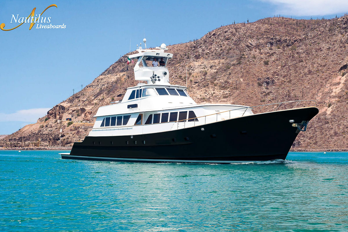 Nautilus Gallant Lady Liveaboard Mexico