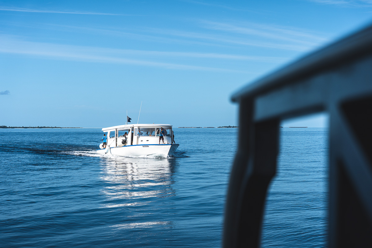 Nautlus Two Liveaboard 11