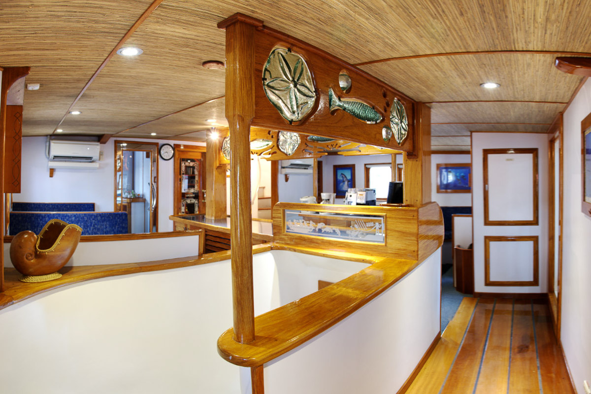 Ocean Hunter Liveaboard Palau 15