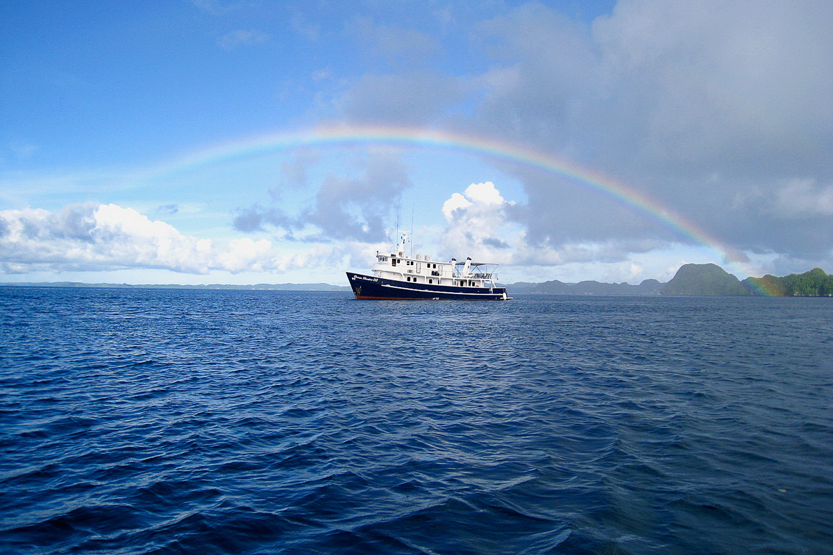 Ocean Hunter Liveaboard Palau 17