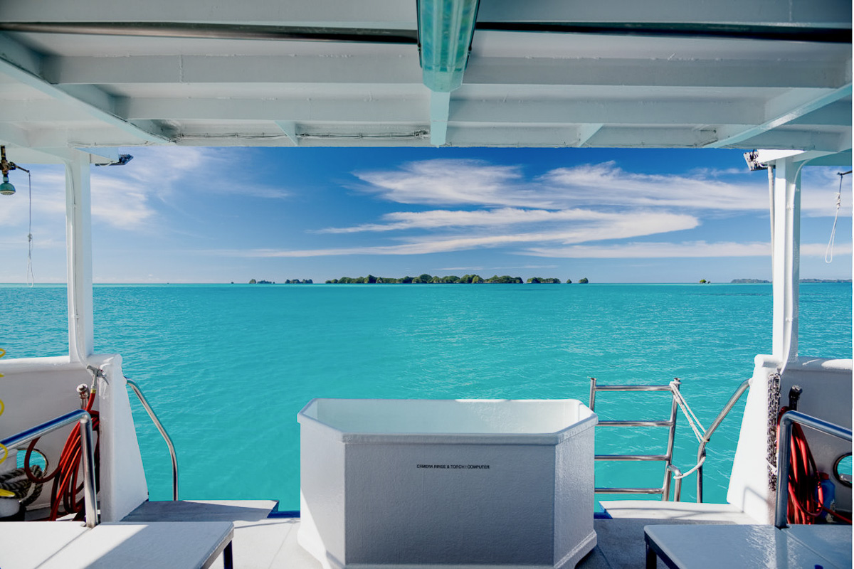 Ocean Hunter Liveaboard Palau 21