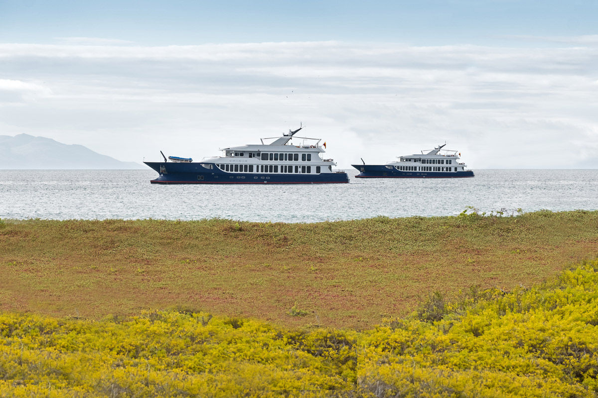 Origin Galapagos Liveaboard 17