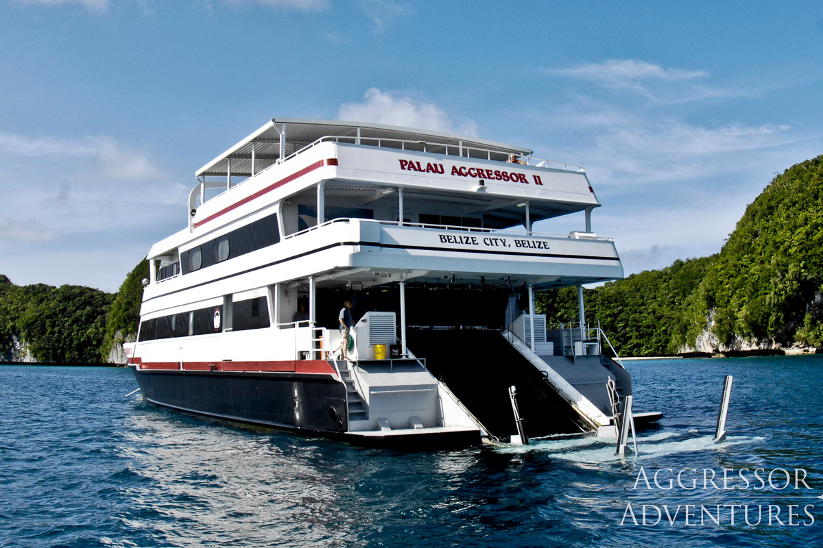 Palau Aggressor Liveaboard Palau 4