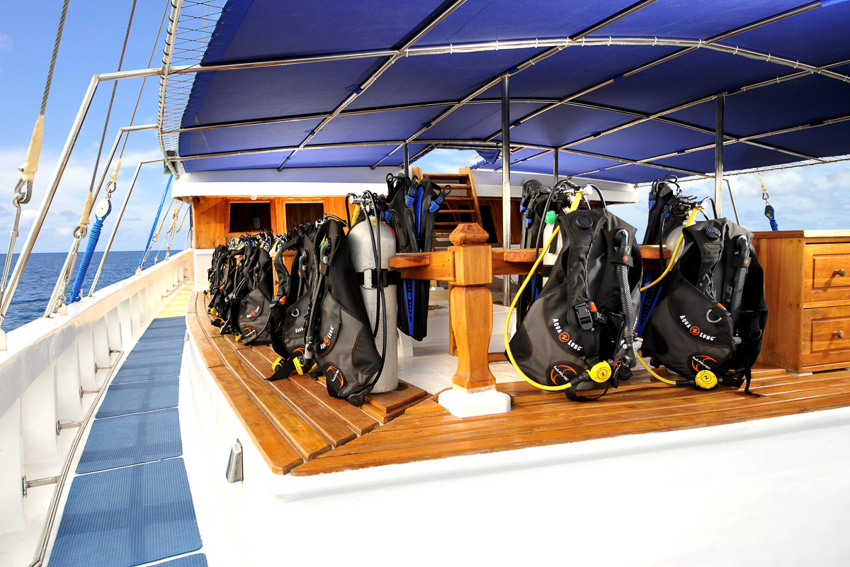 Palau Siren Liveaboard 11