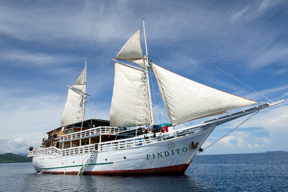 Pindito Liveaboard Indonesia