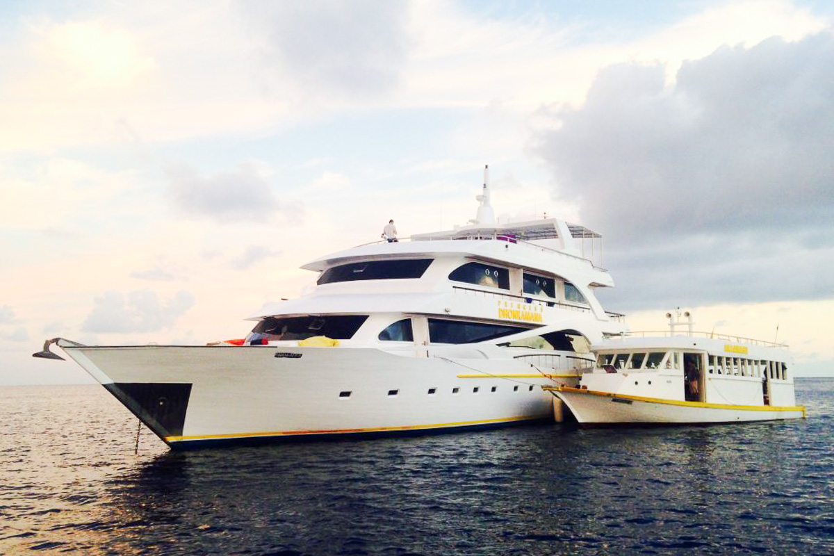 Princess Dhonkamana Liveaboard Maldives 7