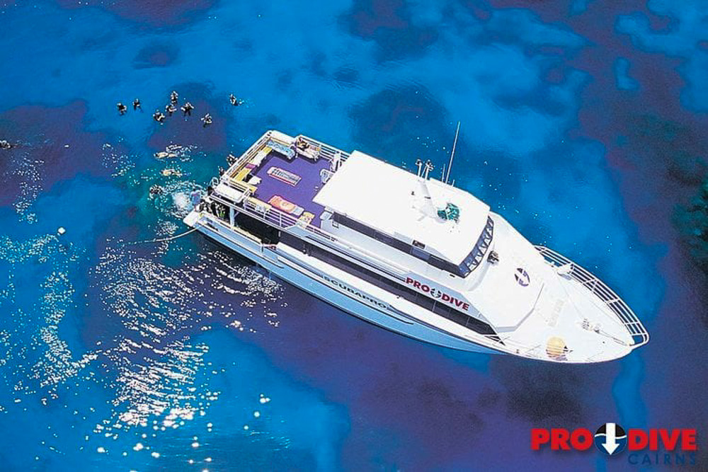 Pro Dive Cairns Liveaboard 12