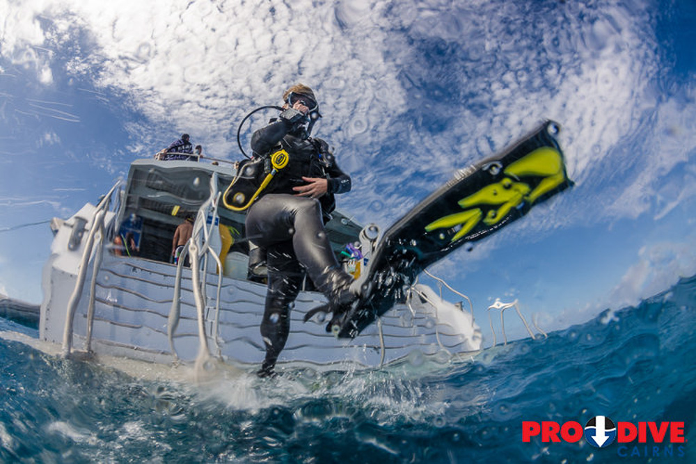 Pro Dive Cairns Liveaboard 13