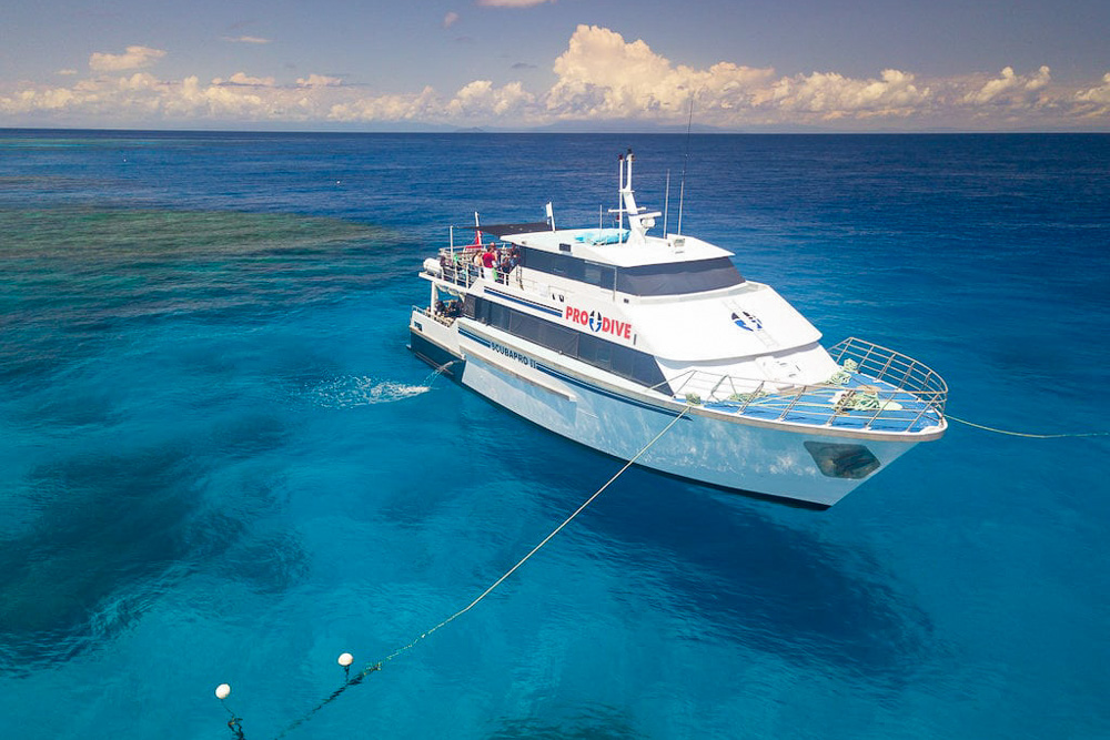 Pro Dive Cairns Liveaboard 5