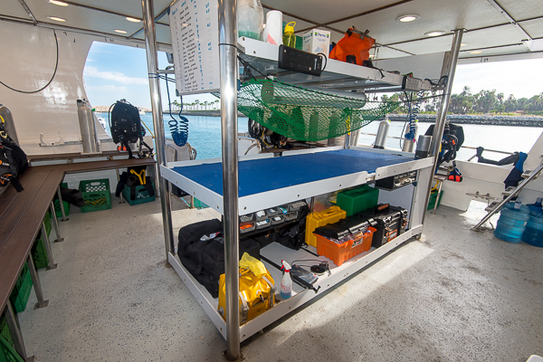 Quino El Guardian Liveaboard Mexico 13