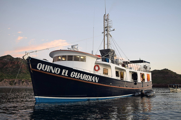 Quino El Guardian Liveaboard Mexico