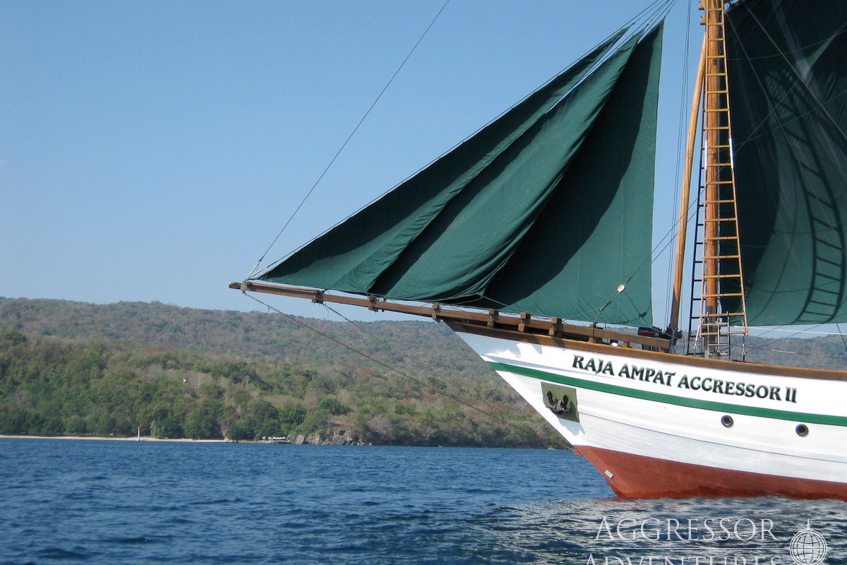 Raja Ampat Aggressor Ii Liveaboard 2