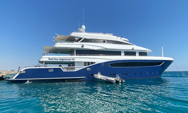 Red Sea Aggressor IV Red Sea Liveaboard