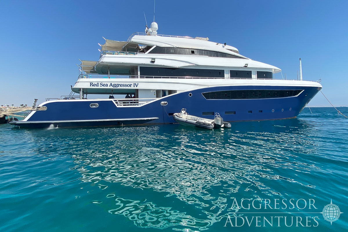 Red Sea Aggressor Iv Liveaboard