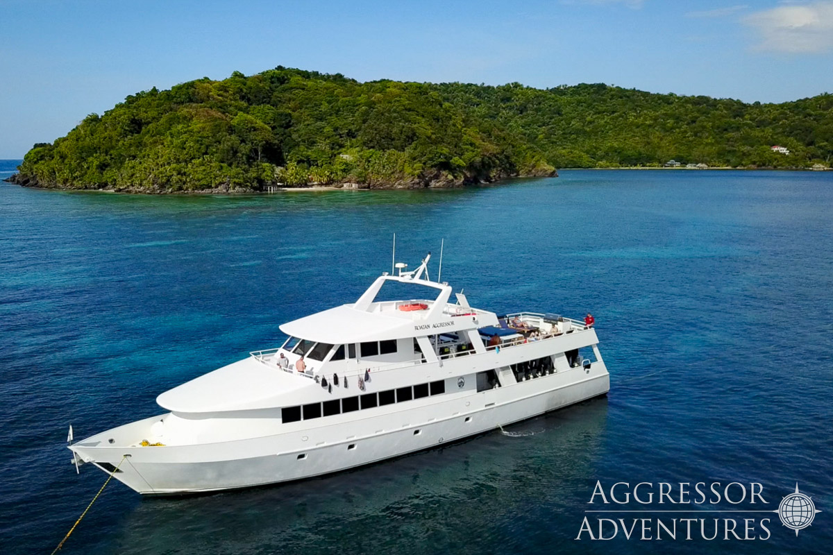 Roatan Aggressor Honduras Liveaboard 3