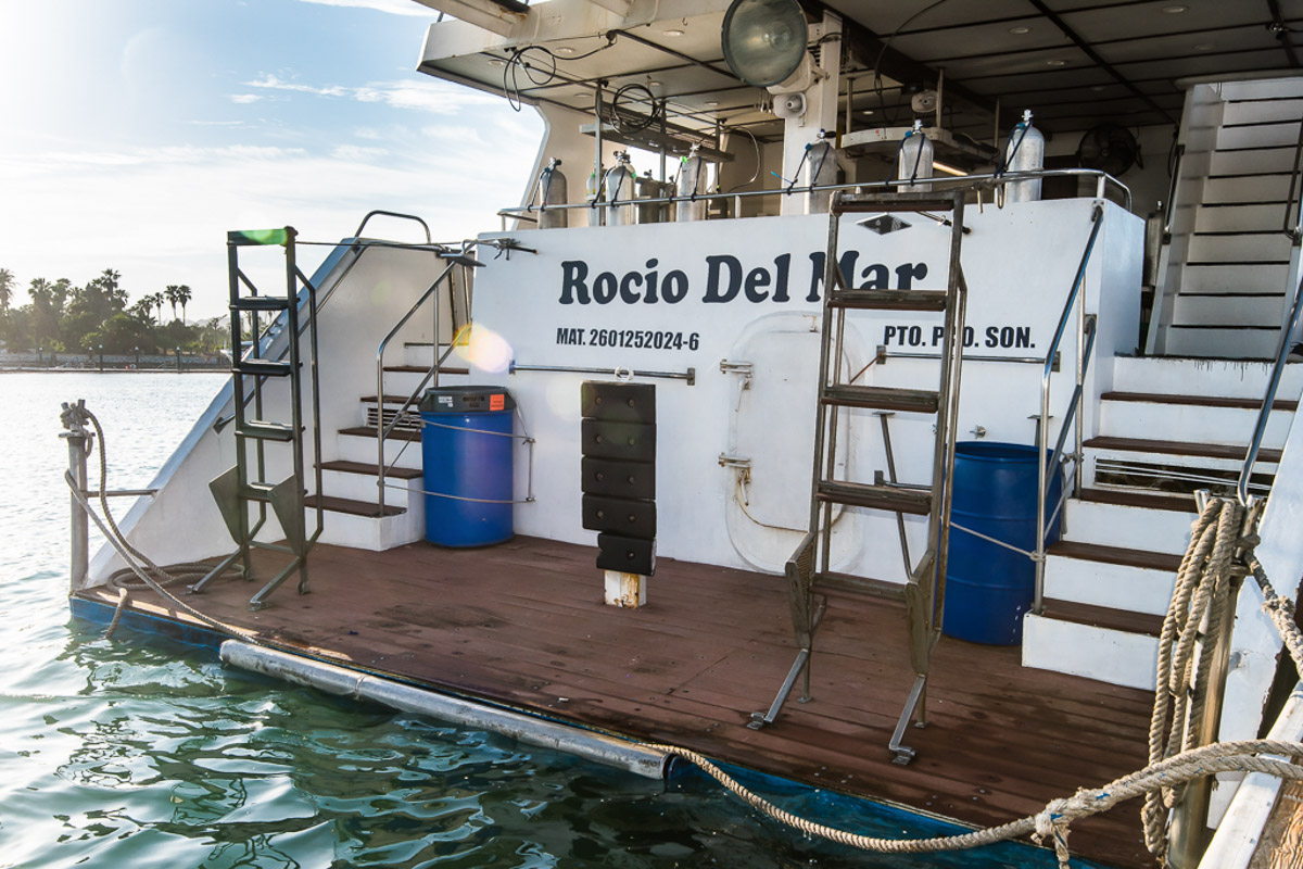 Rocio Del Mar Liveaboard Mexico 17