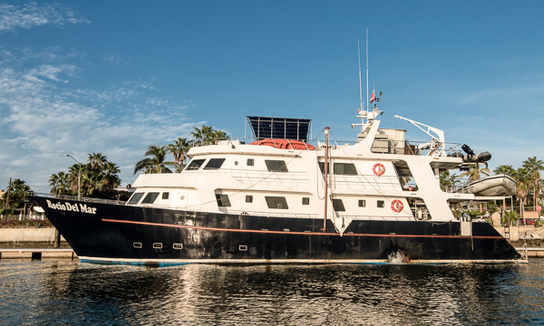 Rocio del Mar Socorro Liveaboard