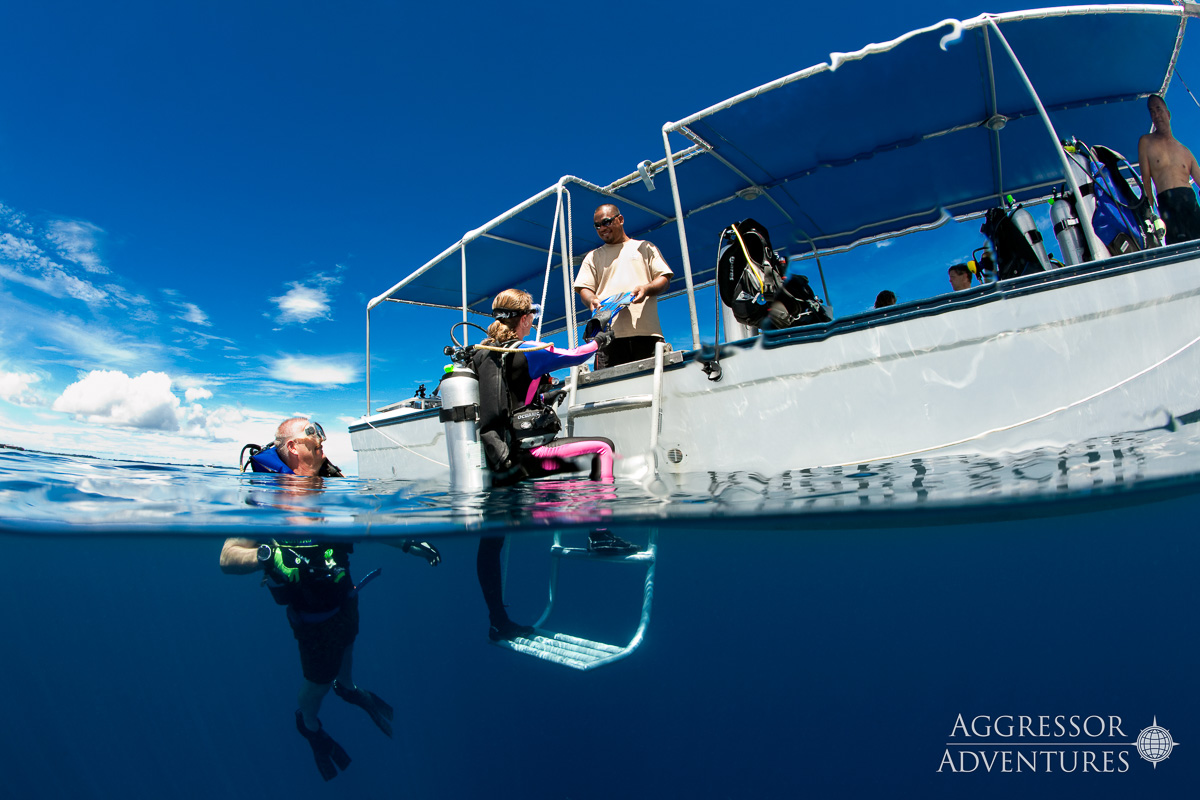 Rock Islands Aggressor Liveaboard Palau 9