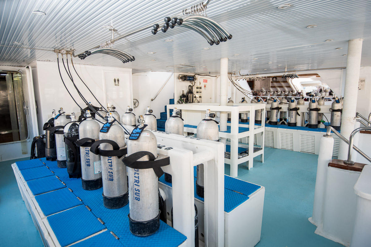 Royal Evolution Liveaboard 24