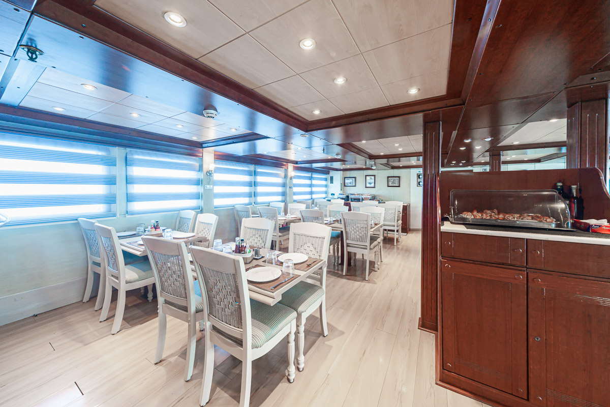 Royal Evolution Liveaboard 5