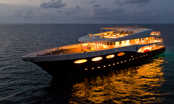 Scubaspa Yang, Maldives Liveaboard