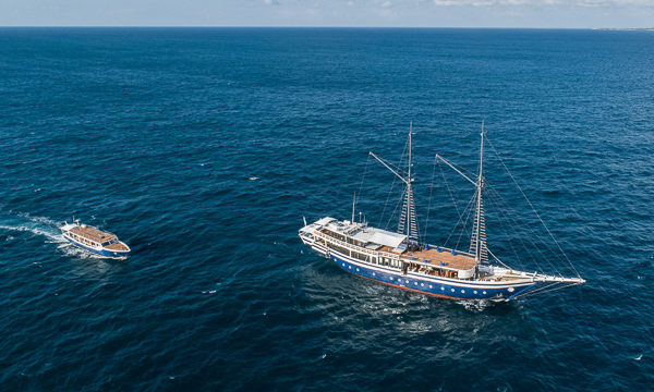 Scubaspa Zen is the perfect liveaboard for relaxing wellness itineraries