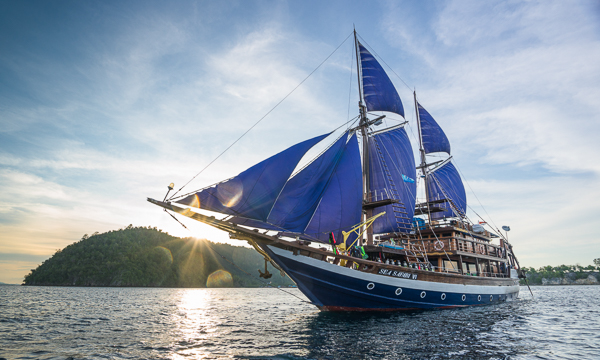 Discounts on larger bookings make Sea Safari VI great for dive groups in Indonesia.