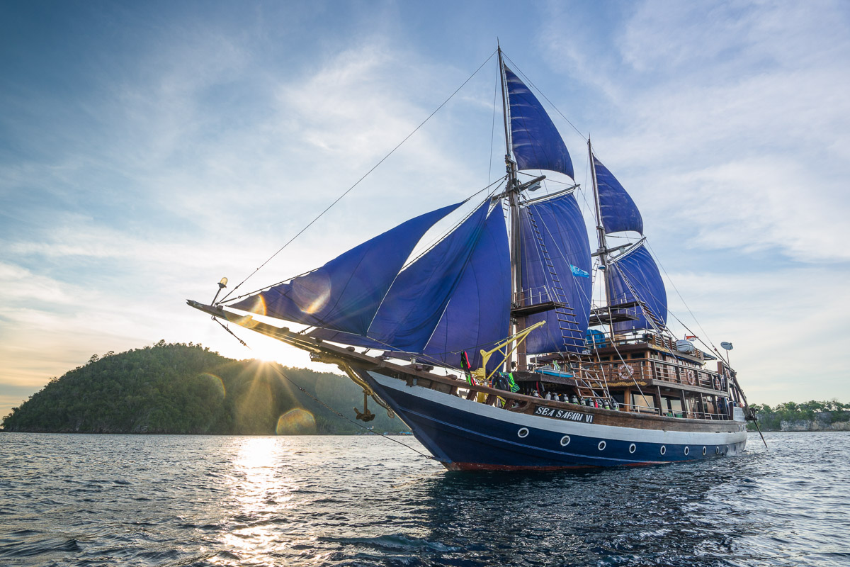 Sea Safari Vi Liveaboard Indonesia