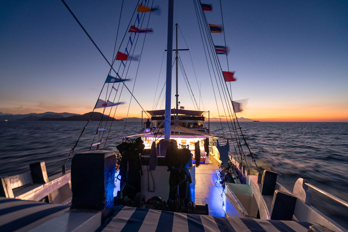 Seahorse Liveaboard Indonesia 18