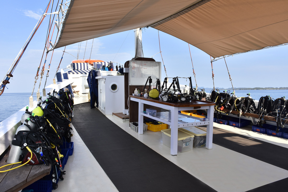 Seahorse Liveaboard Indonesia 23