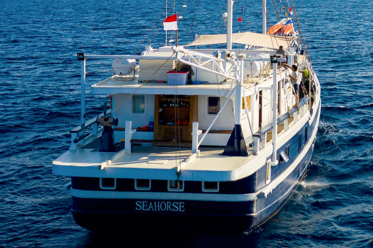 Seahorse Liveaboard Indonesia 24