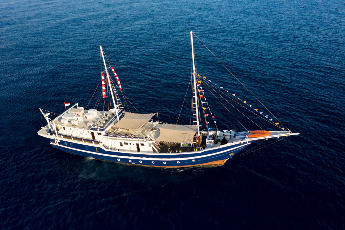 Seahorse Liveaboard Indonesia 7