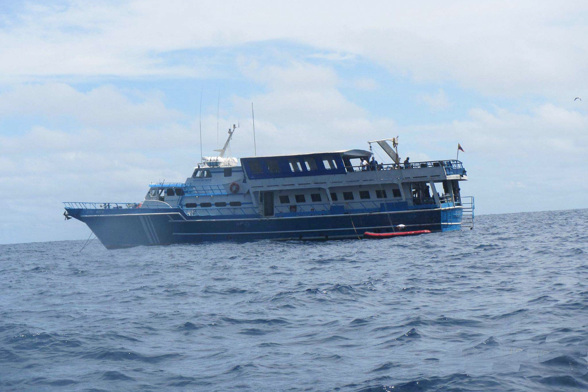 Seawolf Malpelo Liveaboard 5