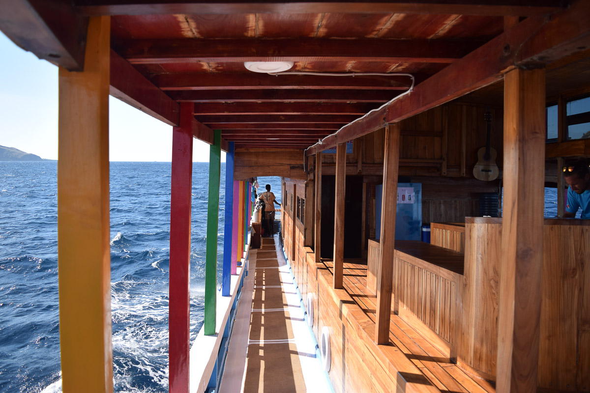 Shenron Liveaboard 14