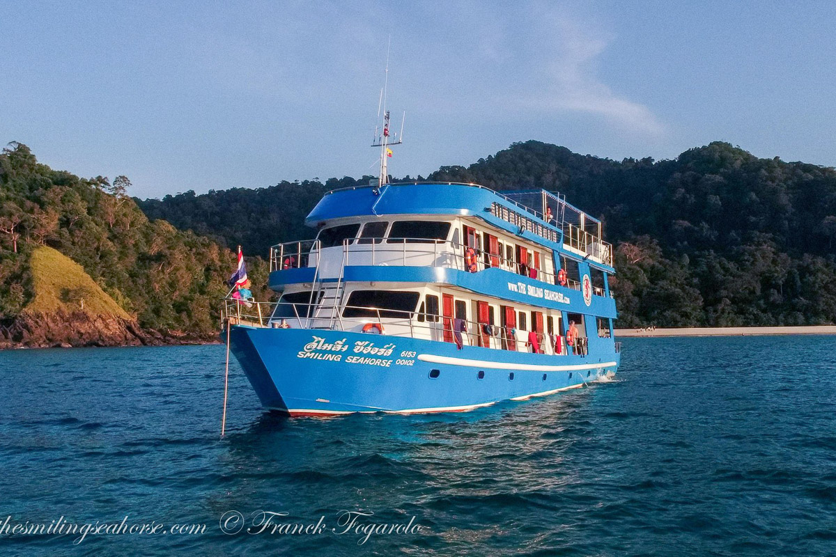 Smiling Seahorse Liveaboard Thailand 14