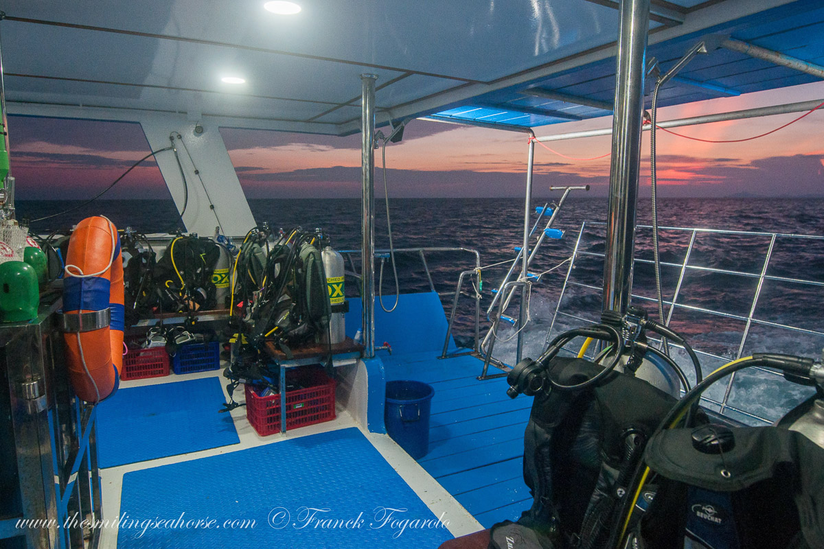 Smiling Seahorse Liveaboard Thailand 17