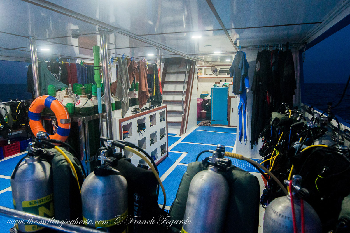 Smiling Seahorse Liveaboard Thailand 18