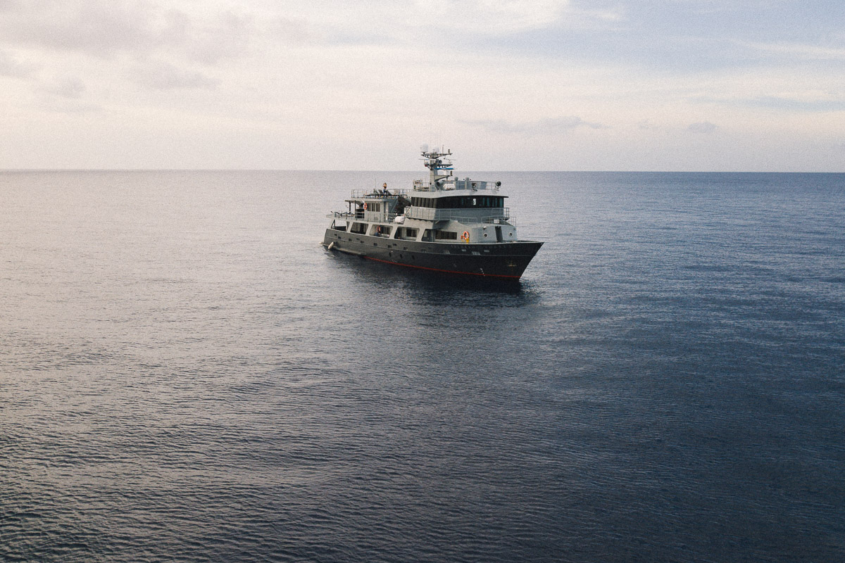 Socorro Vortex Mexico Liveaboard 5