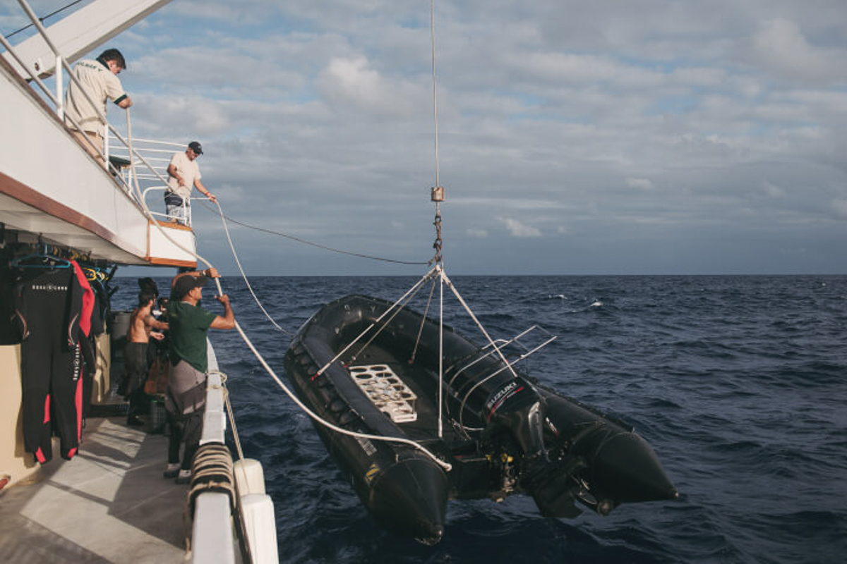 Solmar V Liveaboard Mexico 15