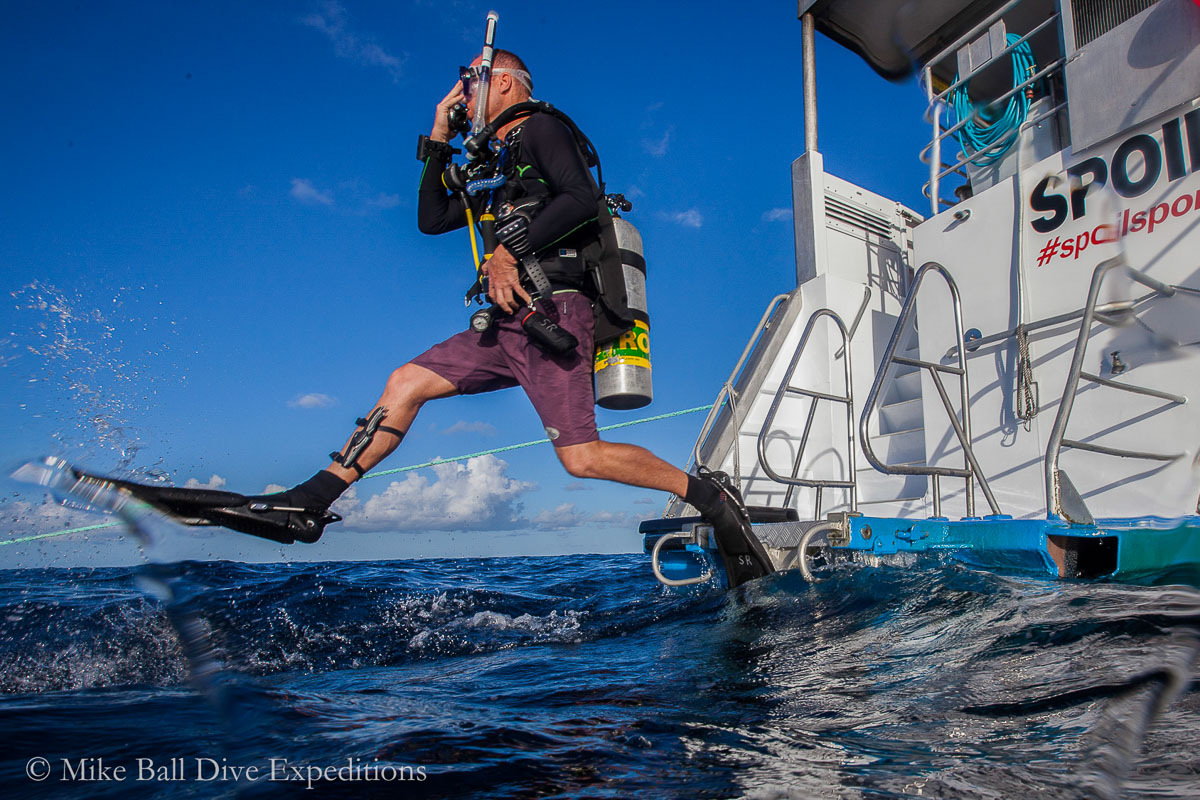 Spoilsport Mike Ball Dive Expeditions Liveaboard 4