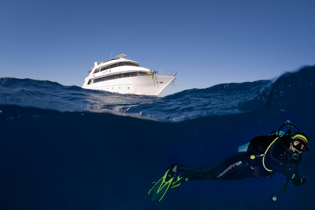 Sunshine Red Sea Liveaboard 12