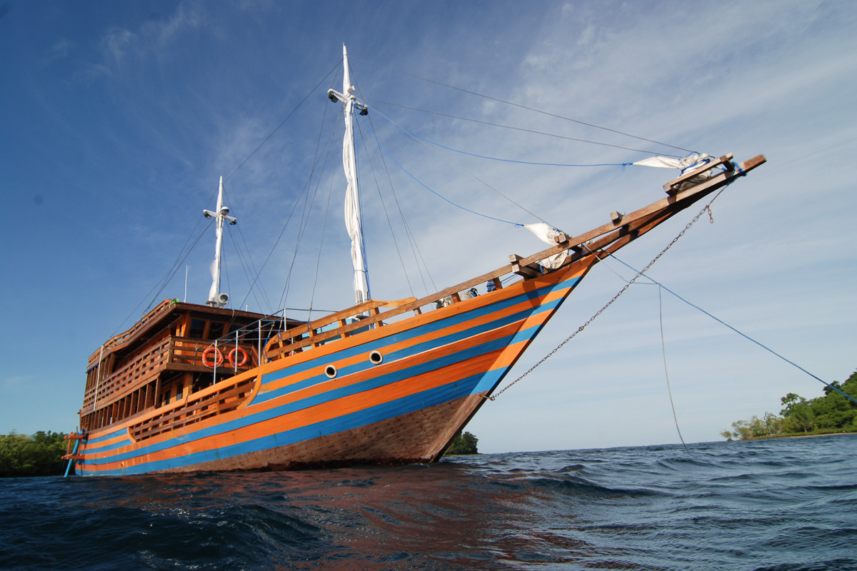 Sunshine Liveaboard Indonesia 8