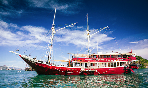 Seven Seas is a spacious safari vessel sailing some of Indonesia's best dive destinations.
